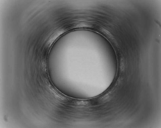 X0000099411321200805231554