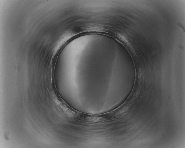 X0000099411323200805231554