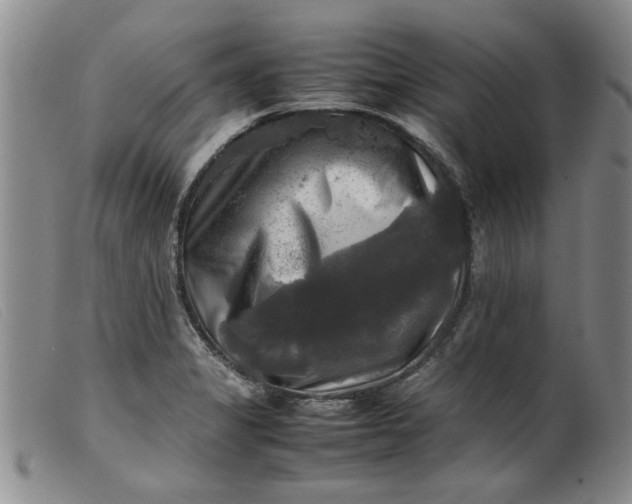 X0000099411325200805231554