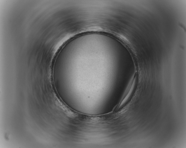 X0000099411326200805231554