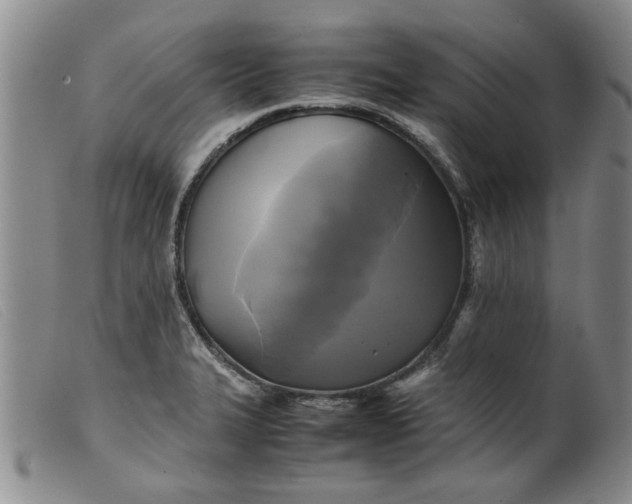 X0000099411327200805231554