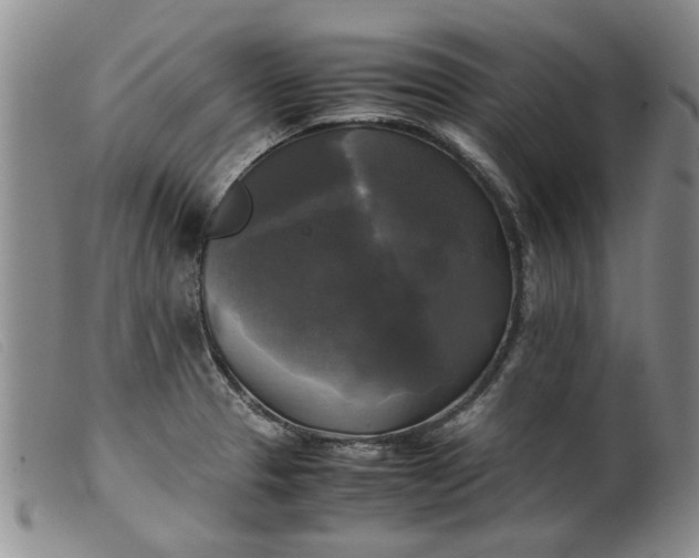 X0000099411329200805231555