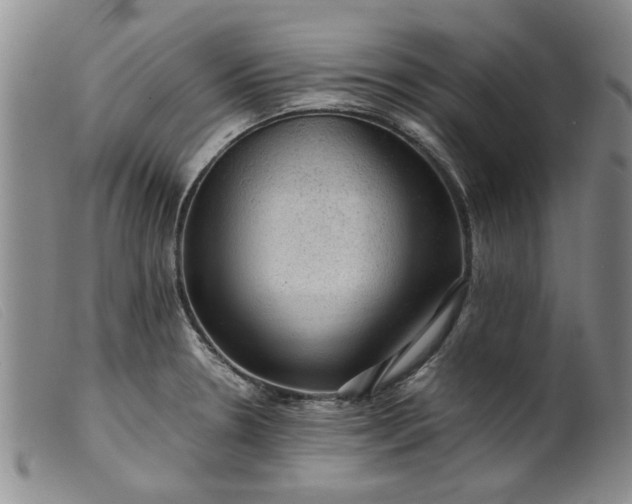 X0000099411330200805231555