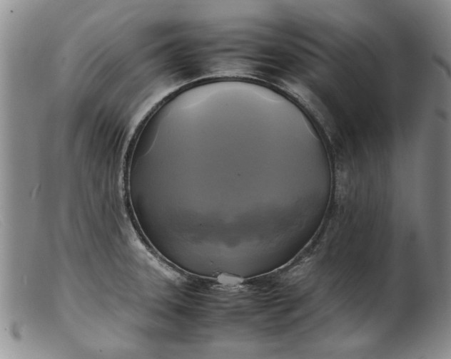 X0000099411331200805231555