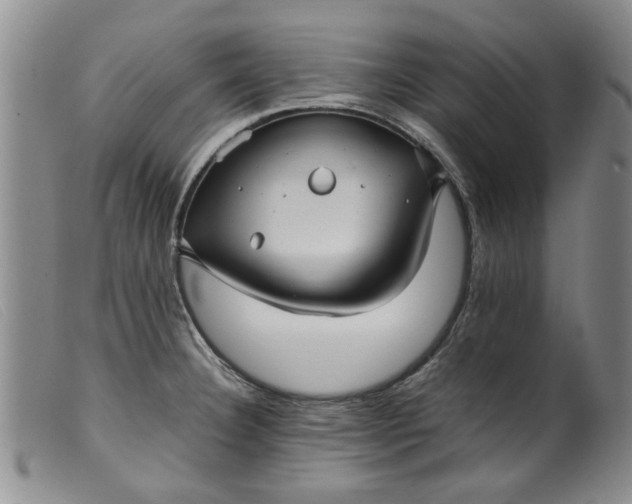 X0000099411332200805231555