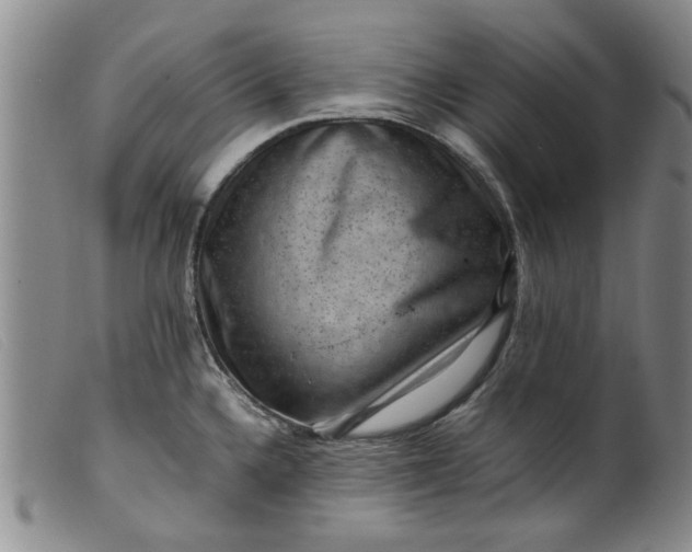 X0000099411336200805231555