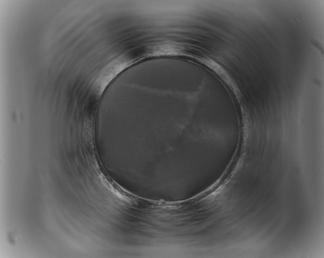 X0000099411337200805231555