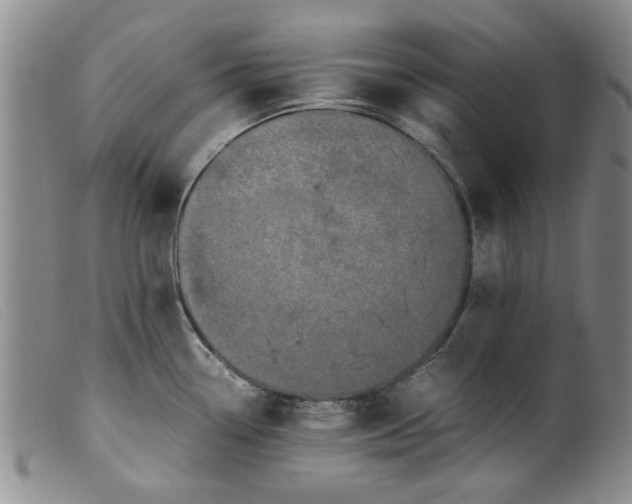 X0000099411338200805231555