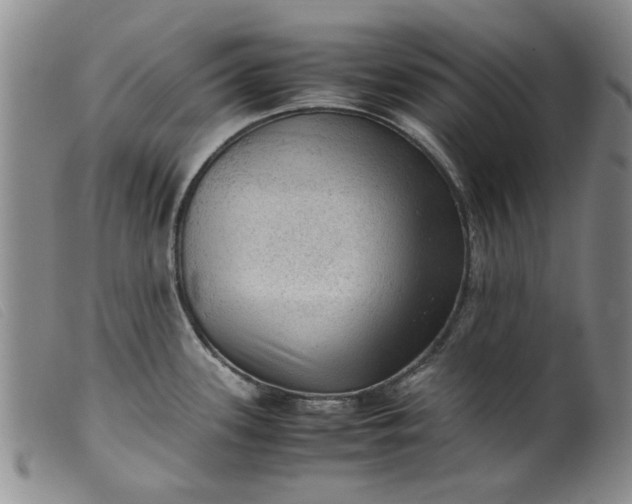 X0000099411339200805231555