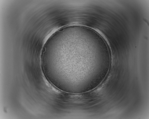 X0000099411341200805231555