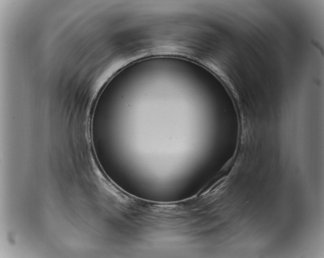 X0000099411342200805231555