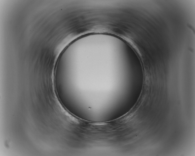 X0000099411343200805231555