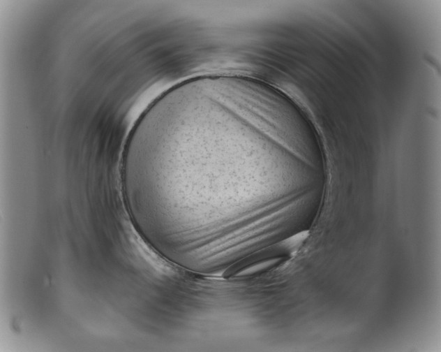 X0000099411344200805231555