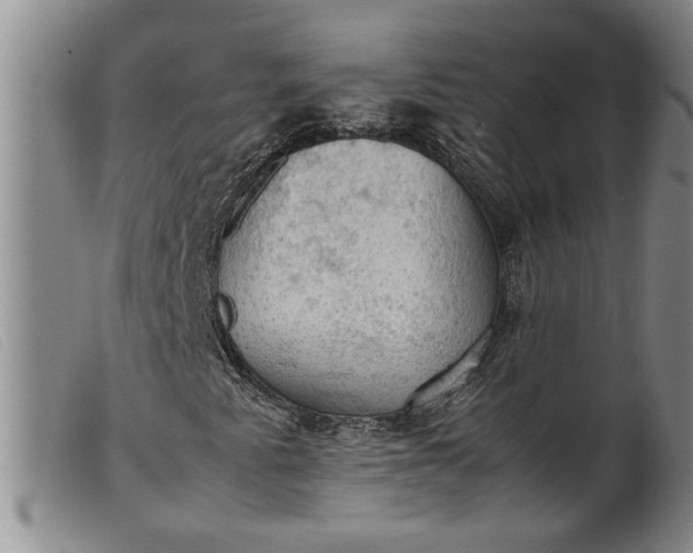 X0000099411345200805231554