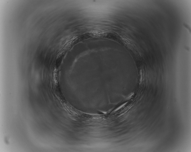 X0000099411346200805231554