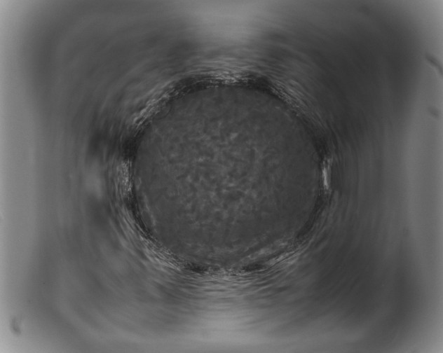 X0000099411347200805231554