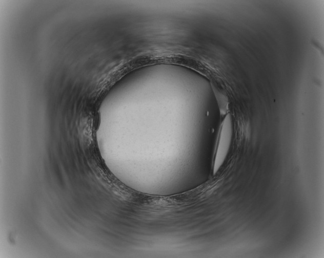 X0000099411348200805231554