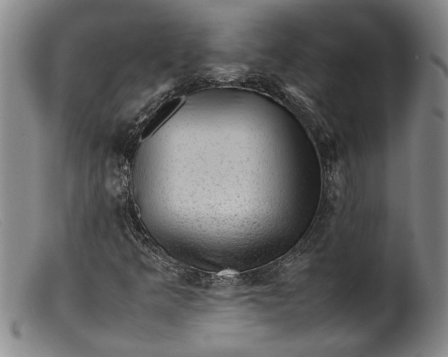 X0000099411349200805231554