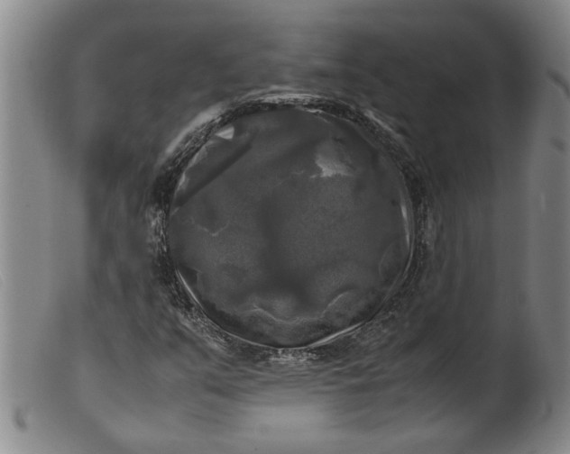 X0000099411351200805231554