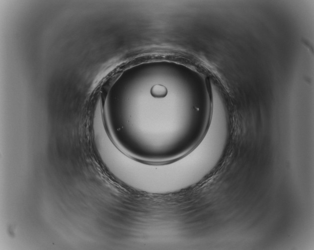 X0000099411352200805231554