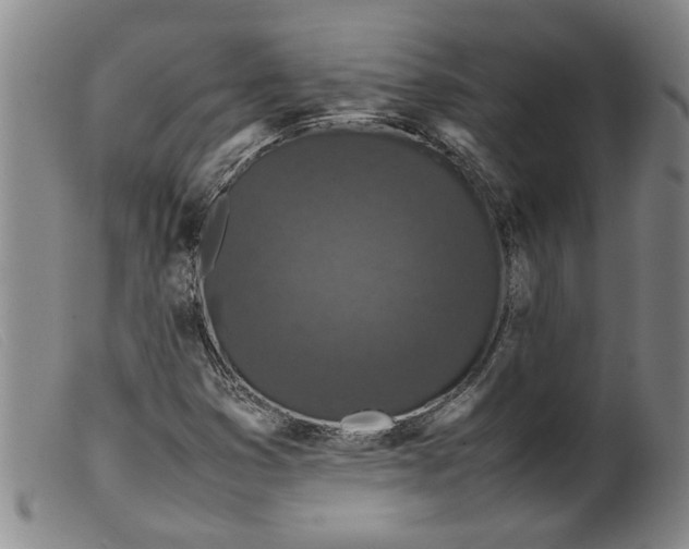 X0000099411353200805231554