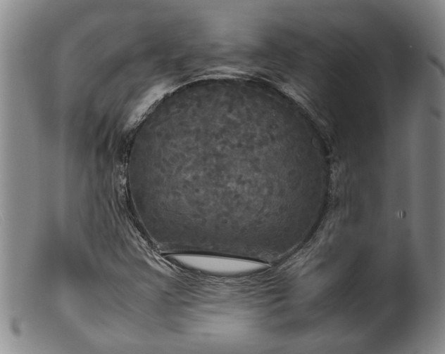 X0000099411355200805231554