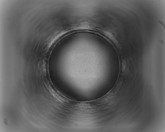 X0000099411356200805231554