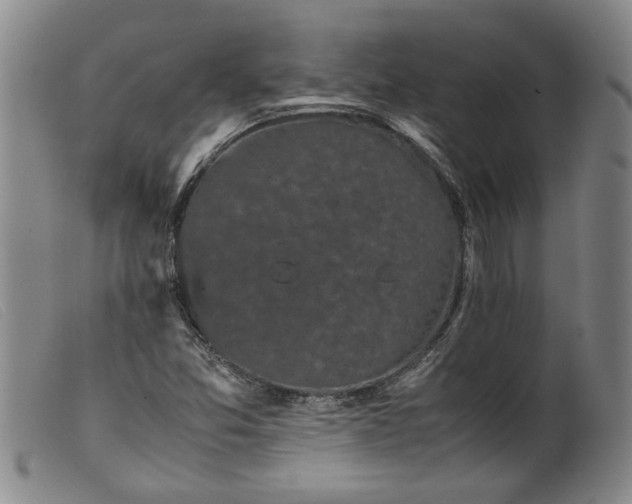 X0000099411357200805231554