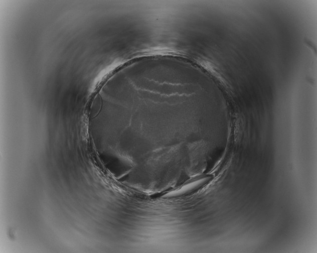 X0000099411358200805231554