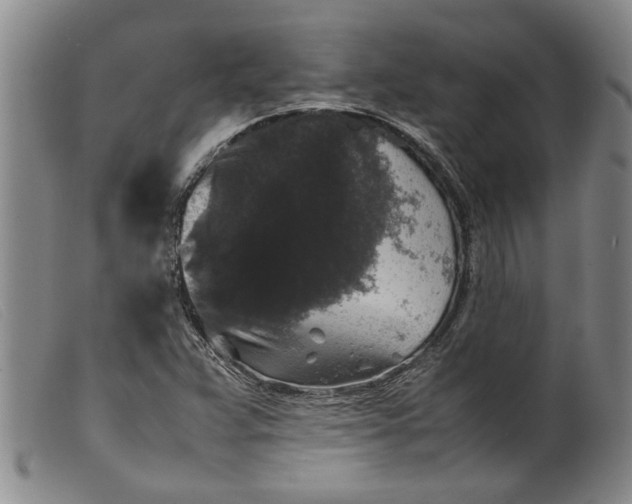 X0000099411359200805231554