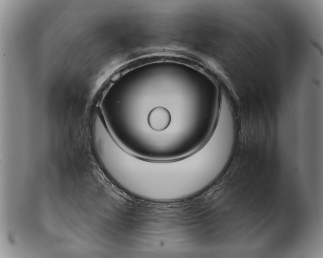 X0000099411360200805231554