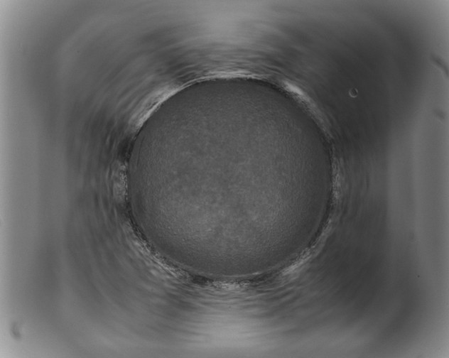 X0000099411361200805231554