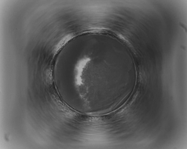 X0000099411362200805231554