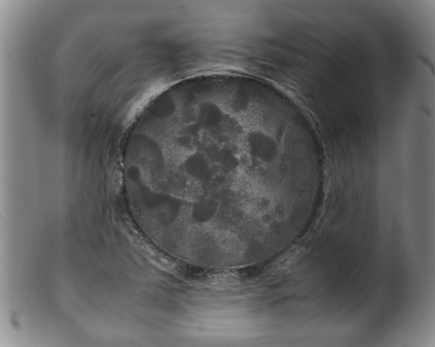 X0000099411363200805231554