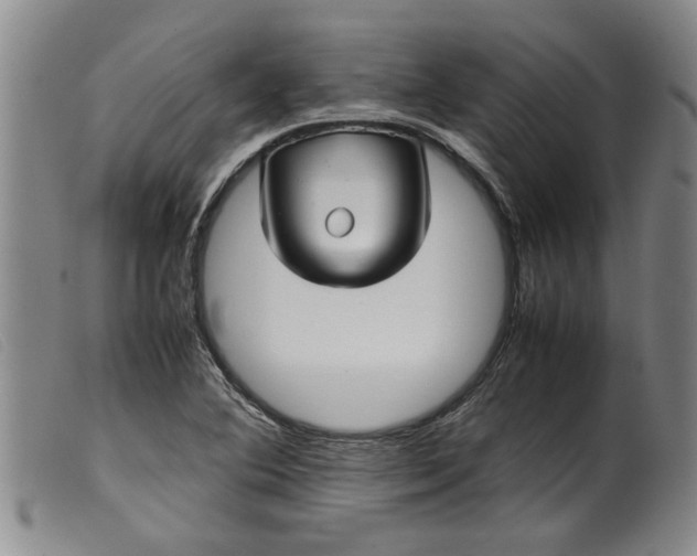 X0000099411364200805231554