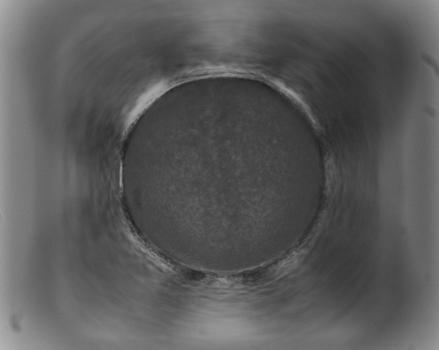 X0000099411365200805231554