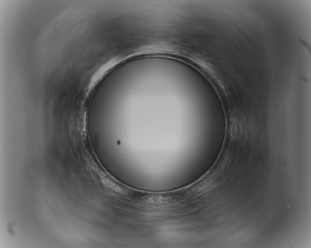 X0000099411366200805231554