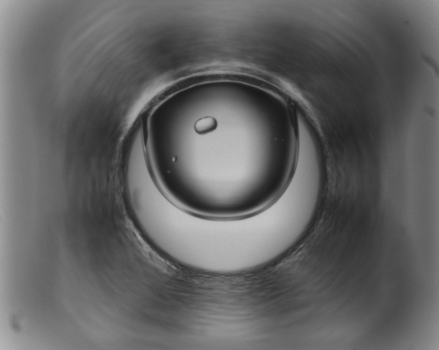 X0000099411368200805231554