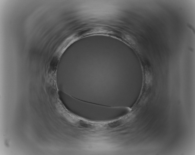 X0000099411369200805231554