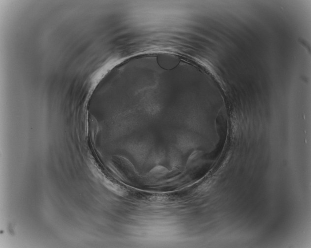 X0000099411371200805231554