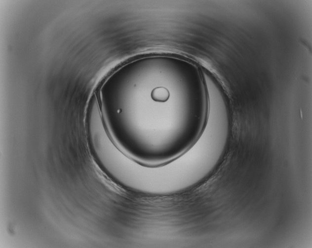 X0000099411372200805231554