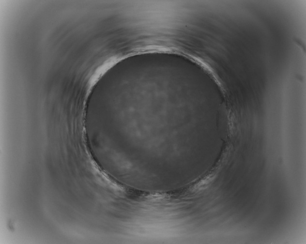 X0000099411373200805231554