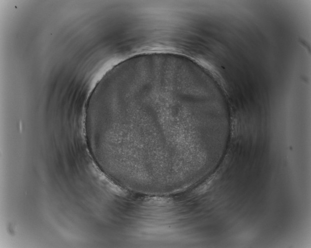 X0000099411374200805231554