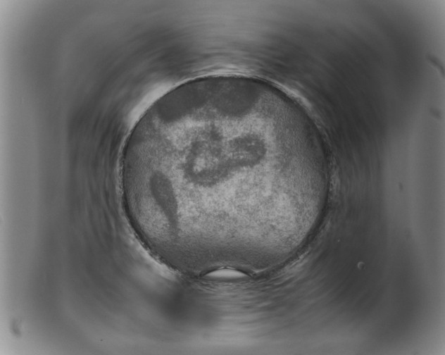 X0000099411375200805231554