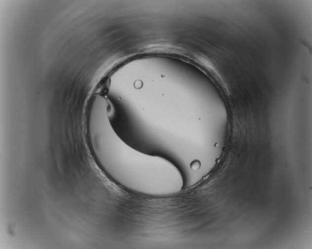 X0000099411376200805231554