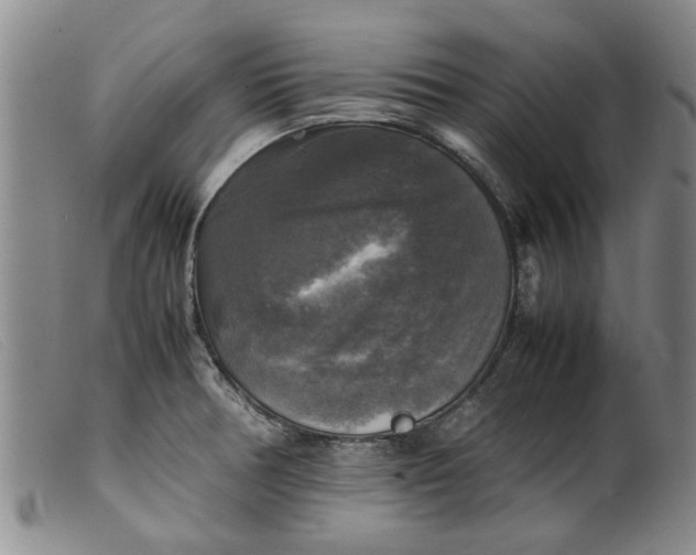 X0000099411378200805231553