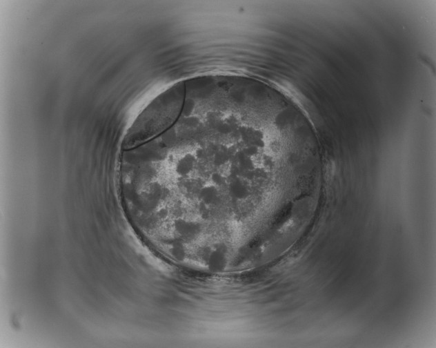 X0000099411379200805231553