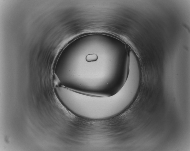 X0000099411380200805231553