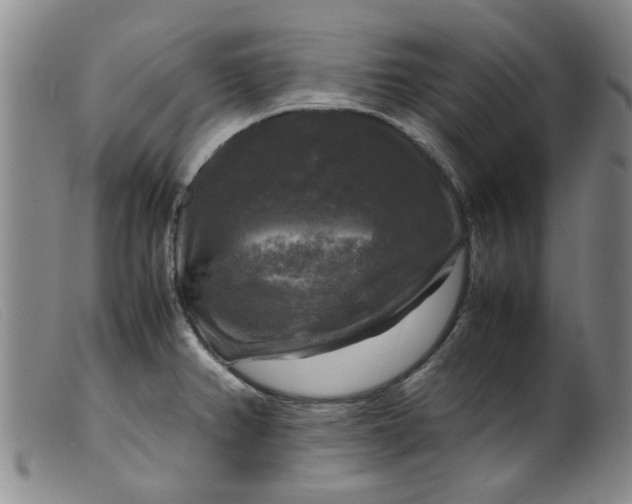 X0000099411382200805231553