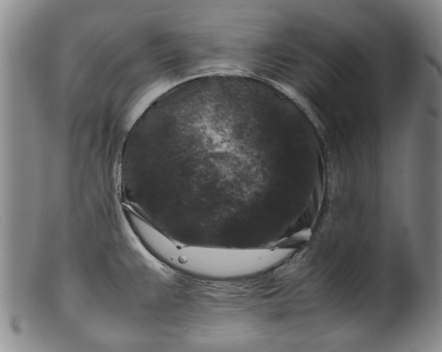 X0000099411383200805231553